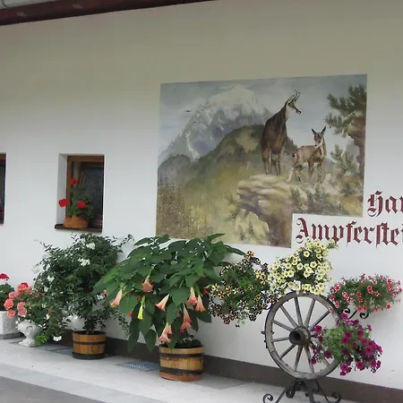 Apartment Haus Ampferstein *